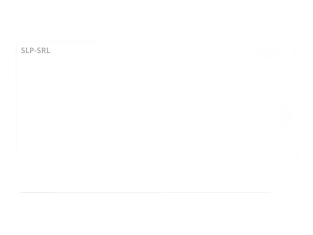 SEIKO Versandetiketten SLP-SRL 220 St. 1