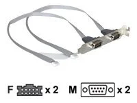 DELOCK MBz Dual ComPort Kabel 2mm Buchse