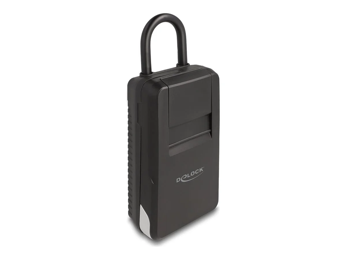 DELOCK Schlusseltresor mit Bugel zum Auf