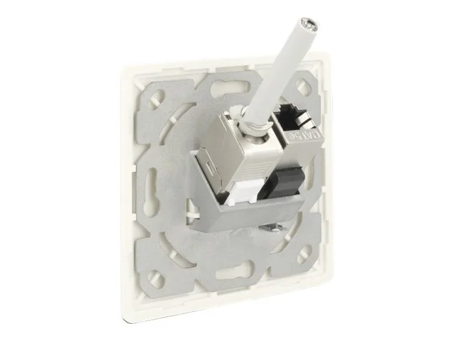 DELOCK Keystone Anschlussdose 2 Port kom