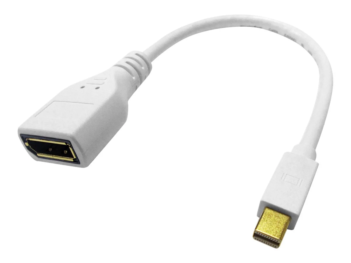 ROLINE DisplayPort Kabeladapter DP