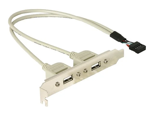 DELOCK Slotblech intUSB 5pin zu2xUSB2ext