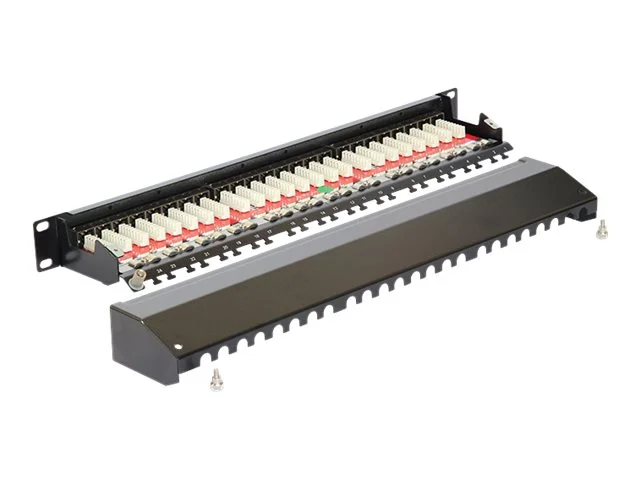 DELOCK 19 Patchpanel 24 Port Cat.6A