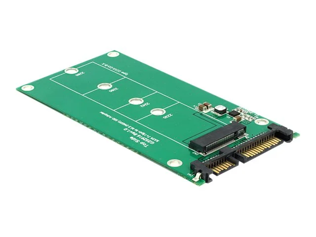 DELOCK Konverter SATA 22 Pin > M.2