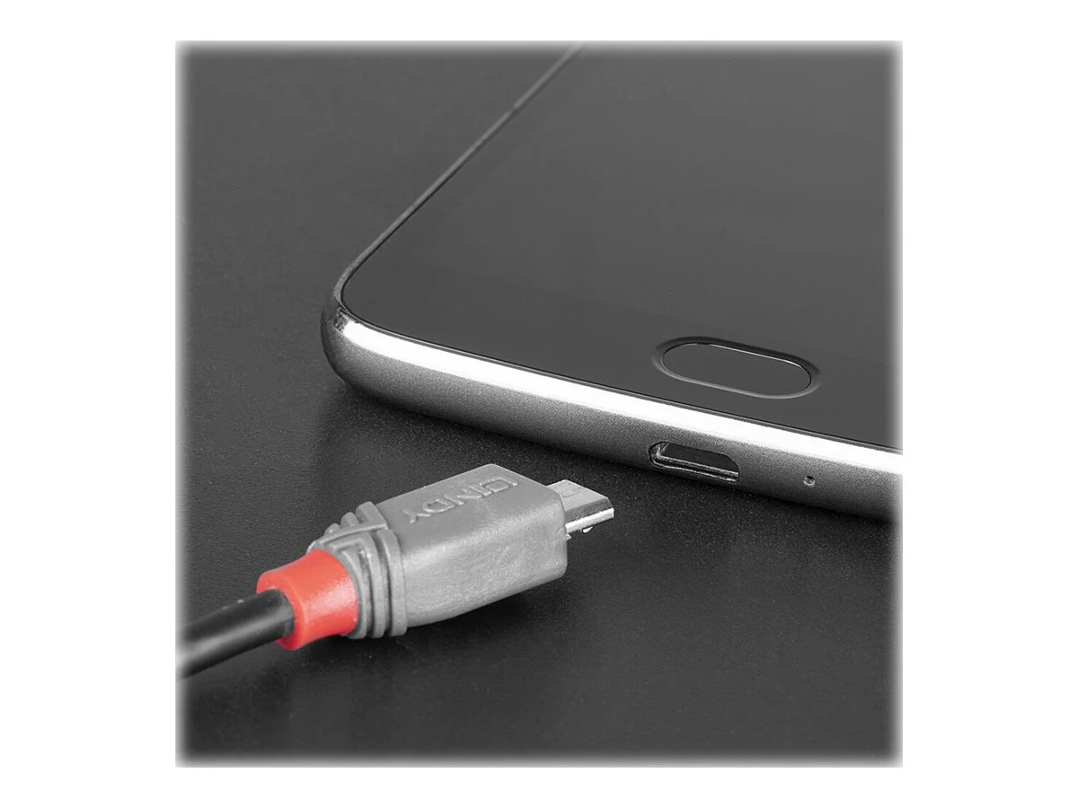 LINDY 1m USB 2.0/C -Micro-B, Anthra Line