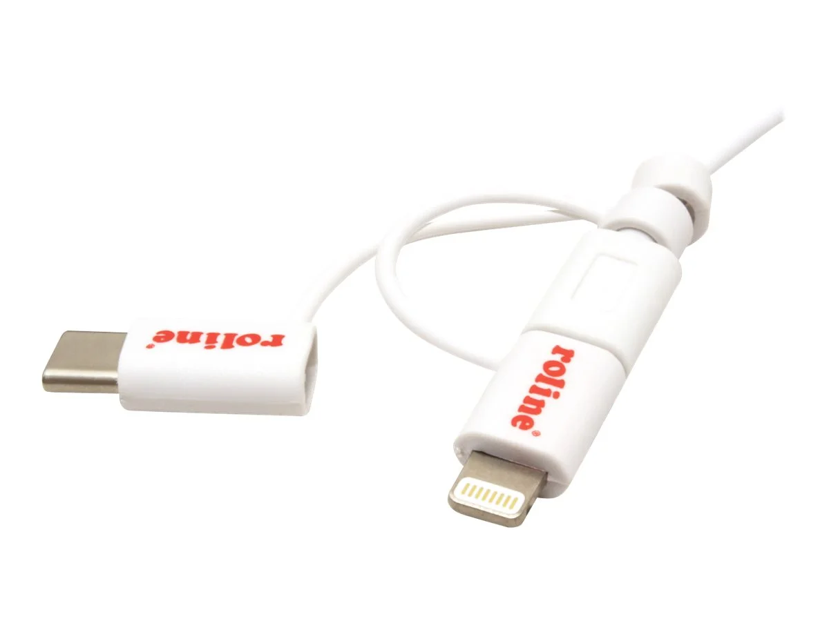 ROLINE USB 2.0 Sync- & Ladekabel TypA 1m