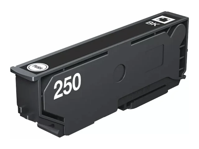 EPSON Singlepack Black 250 ink
