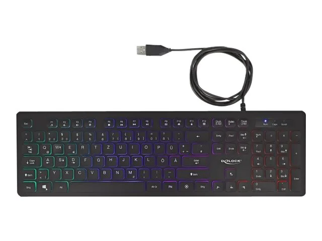 DELOCK USB Tastatur kabelgebunden 1,5m