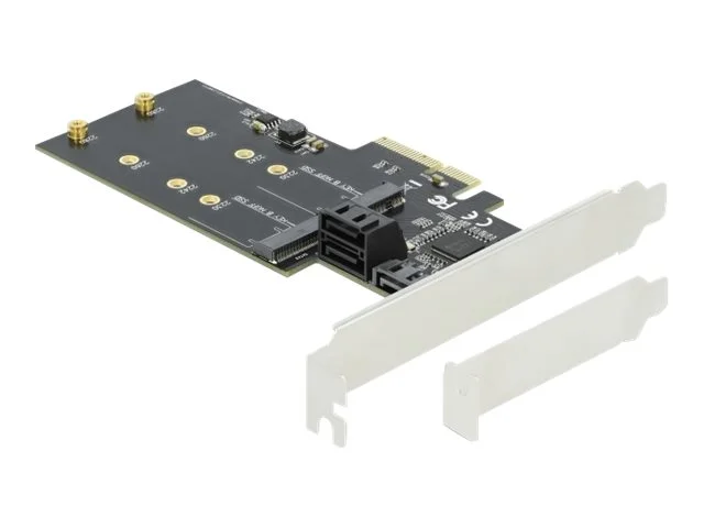 DELOCK 3 Port SATA und 2 Slot M.2 Key B