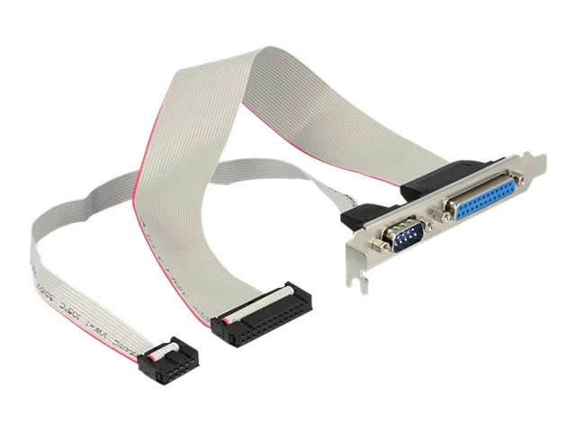 DELOCK Slotblech > 1xSeriell, 1xParallel