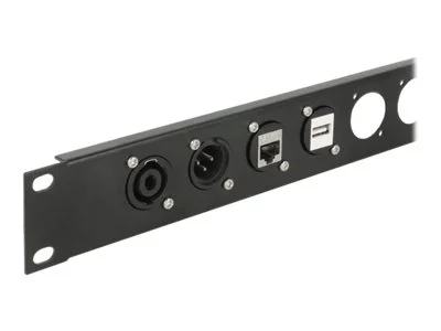 DELOCK D-Typ Modul USB2.0 Typ-A Bu zu Bu