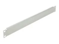 DELOCK 48,26cm Blindabdeckung 1HE grau