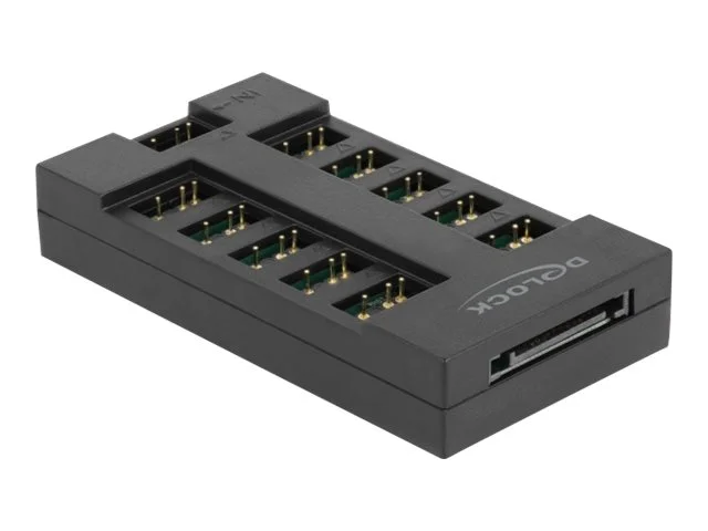 DELOCK RGB Hub ARGB LEDs mit 10 Ports