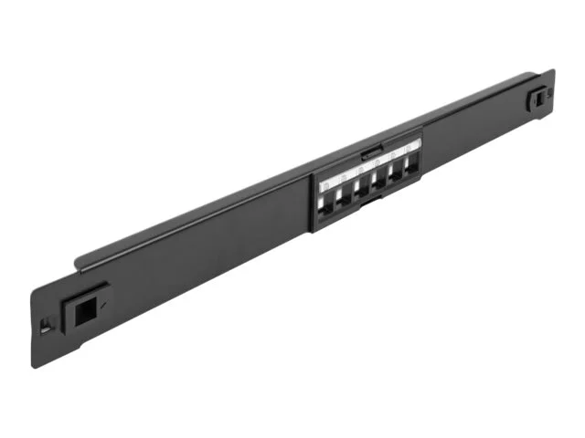 DELOCK 48,3cm Keystone Patchpanel 6 Port