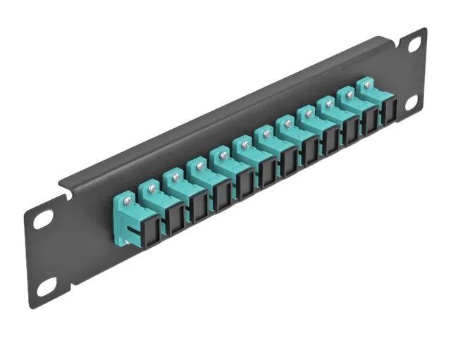 DELOCK 30,5cm LWL Patchpanel 12P SC aqua