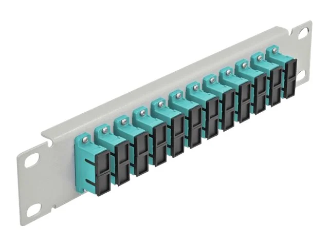 DELOCK 30,5cm LWL Patchpanel 12P SC aqua