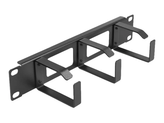 DELOCK 30,5cm Rangierpanel 2 Öffnungen 1