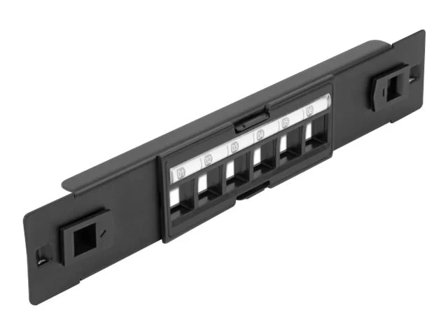 DELOCK 30,5cm Keystone Patchpanel 6 Port