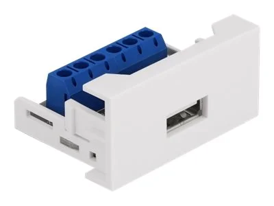 DELOCK Easy 45 Modul USB 2.0 Typ-A