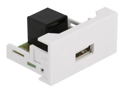 DELOCK Easy 45 Modul USB 2.0 Typ-A >RJ45