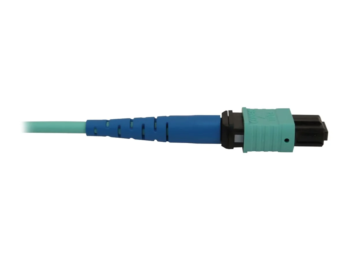 EATON TRIPPLITE Fiber Optic Cable