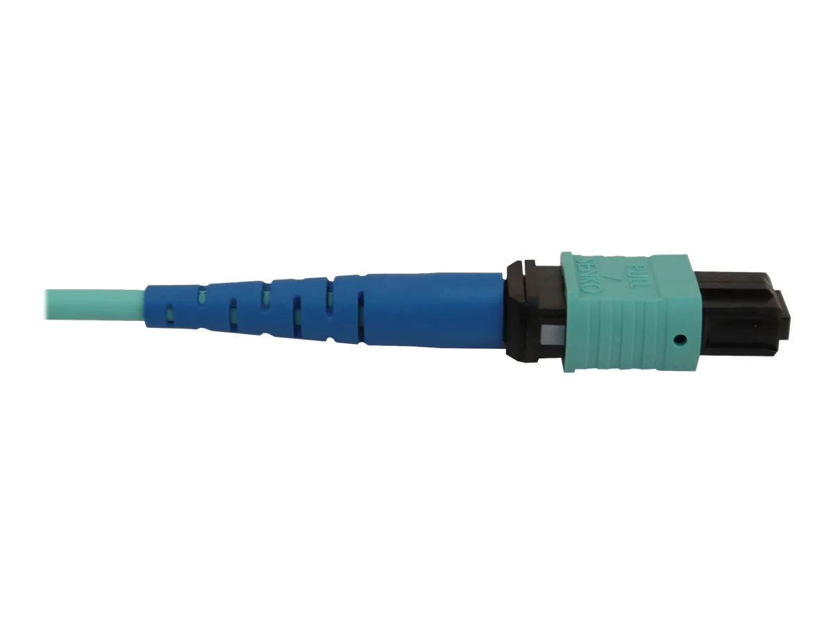 EATON TRIPPLITE Fiber Optic Cable
