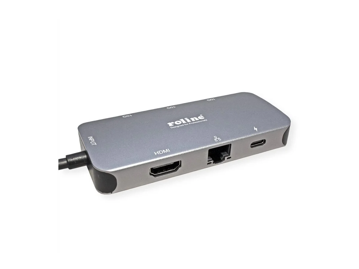 ROLINE USB 3.2 Gen2 Typ C Dockingstation