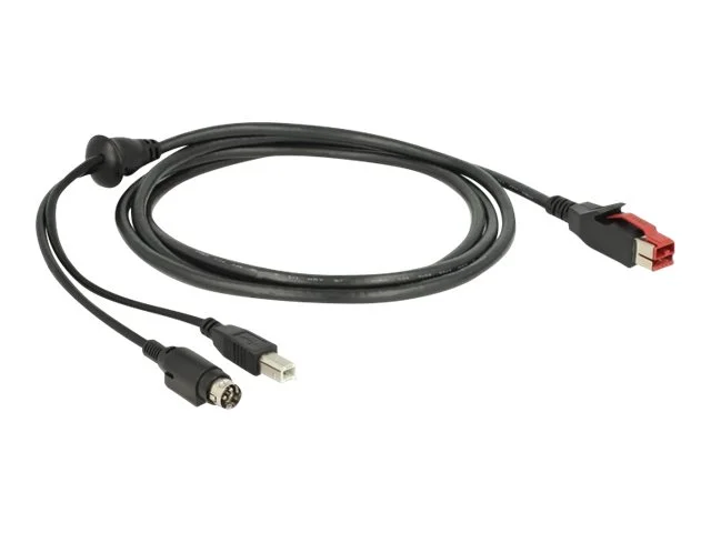 DELOCK PoweredUSB Kabel 24V>USB Typ-B 2m