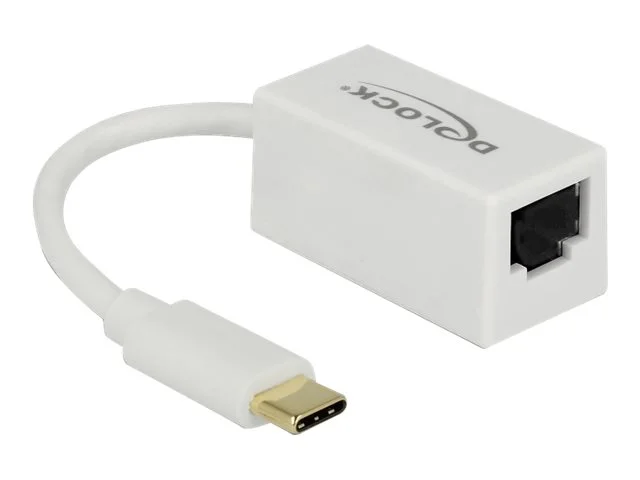 DELOCK Adapter USB 3.1 Gen 1 USB Type-C