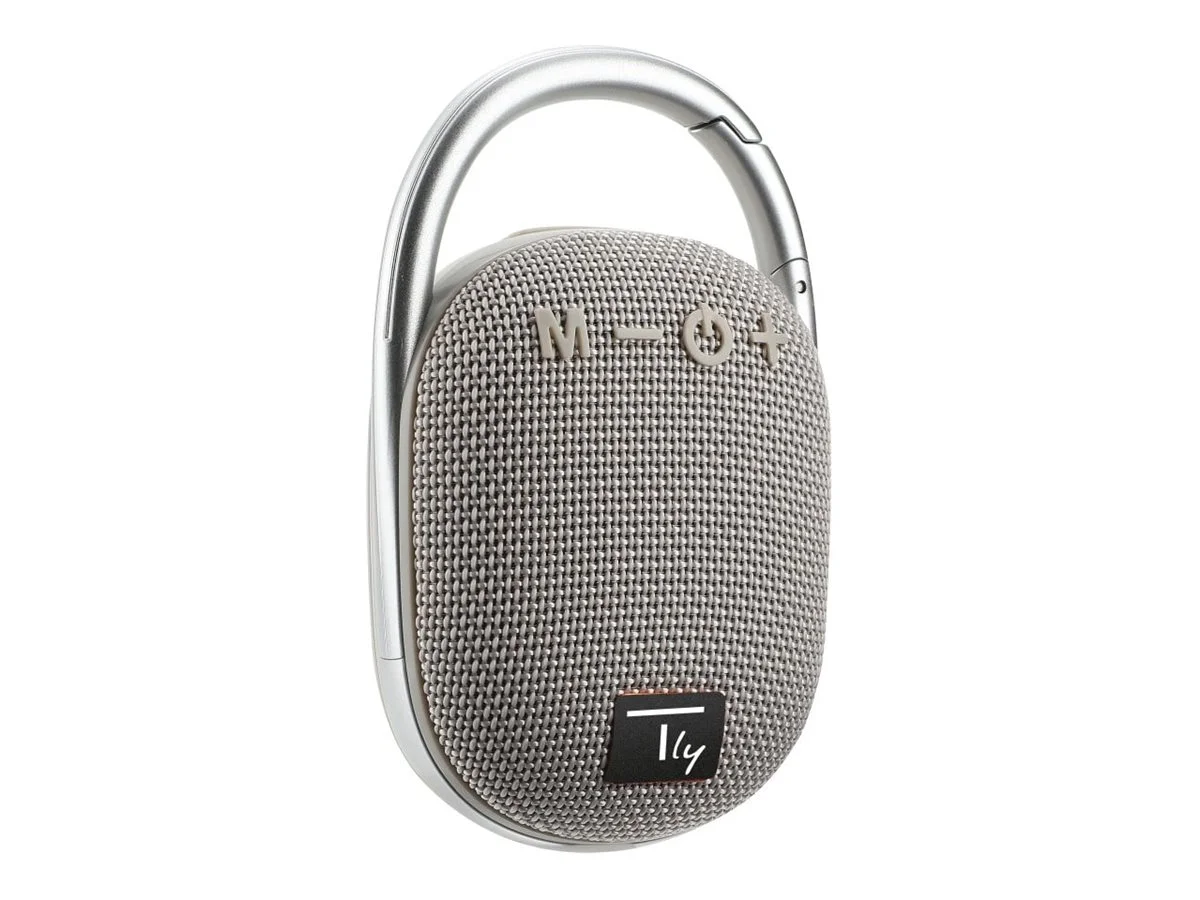 EFB Techly Bluetooth-Lautsprecher grau