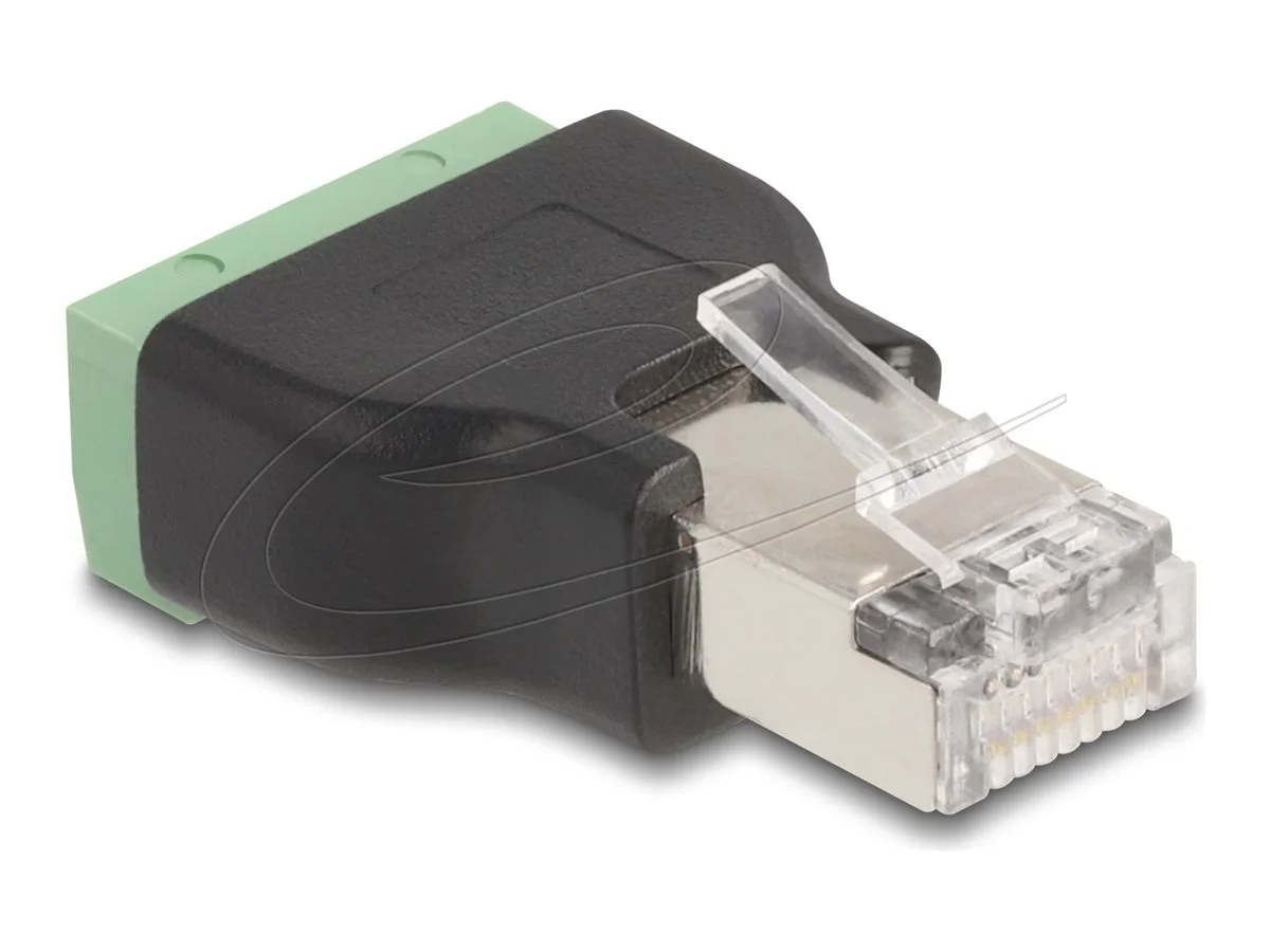 DELOCK RJ45 zu Terminalblock Adap 4 Pin