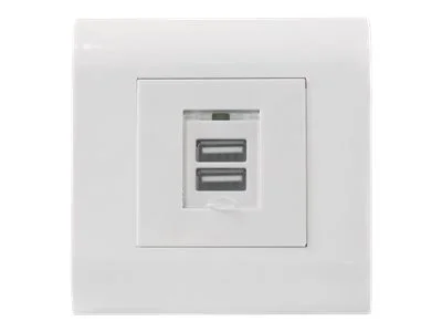 INT Unterputzdose 2 x USB A-Ladeports