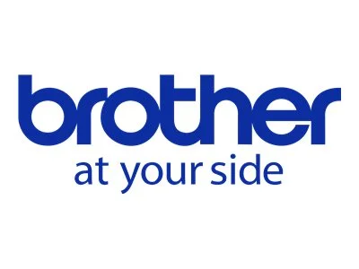 BROTHER FSP PA UPGRADE AUF 200.000 SEITE