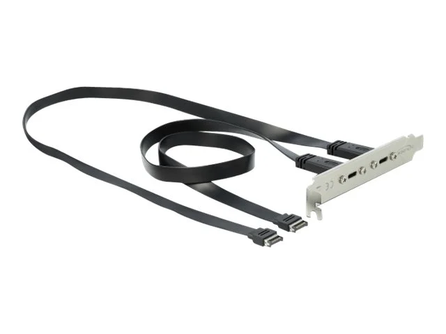 DELOCK Slotblech mit 2 x USB Type-C Port