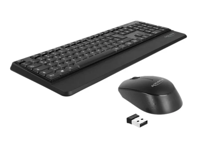 DELOCK USB Tastatur und Maus Set 2,4GHz