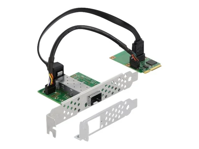 DELOCK Mini PCIe I/O PCIe 1 x SFP