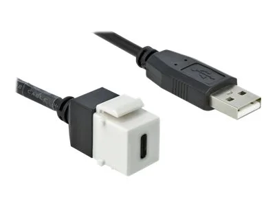 DELOCK Keystone Modul USB 2.0 C > A