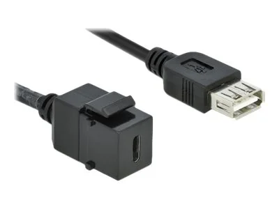 DELOCK Keystone Modul USB 2.0 C > A