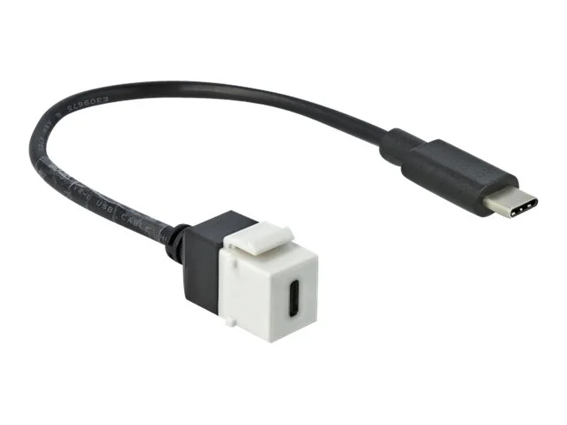 DELOCK Keystone Modul USB 3.0 C > 3.0 C
