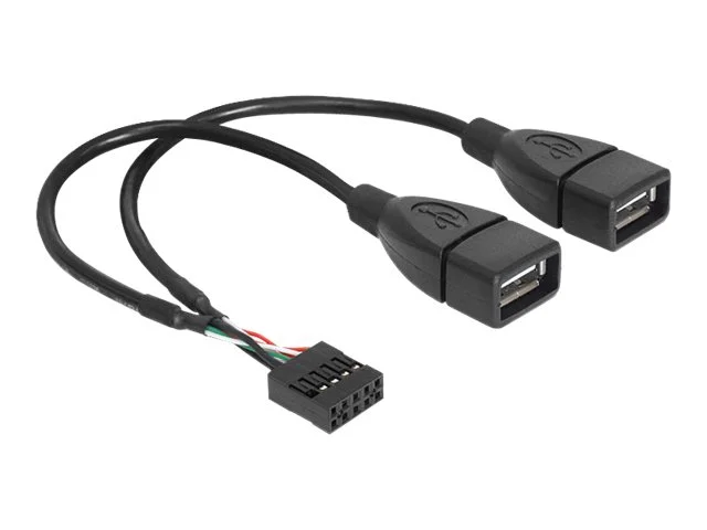 DELOCK Kabel USB Pinheader>USB-A 2x 20cm