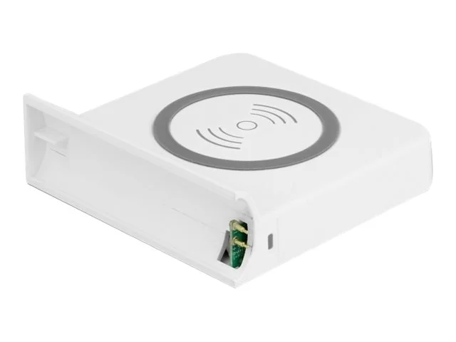 DELOCK Ladegerät für Delock 41450