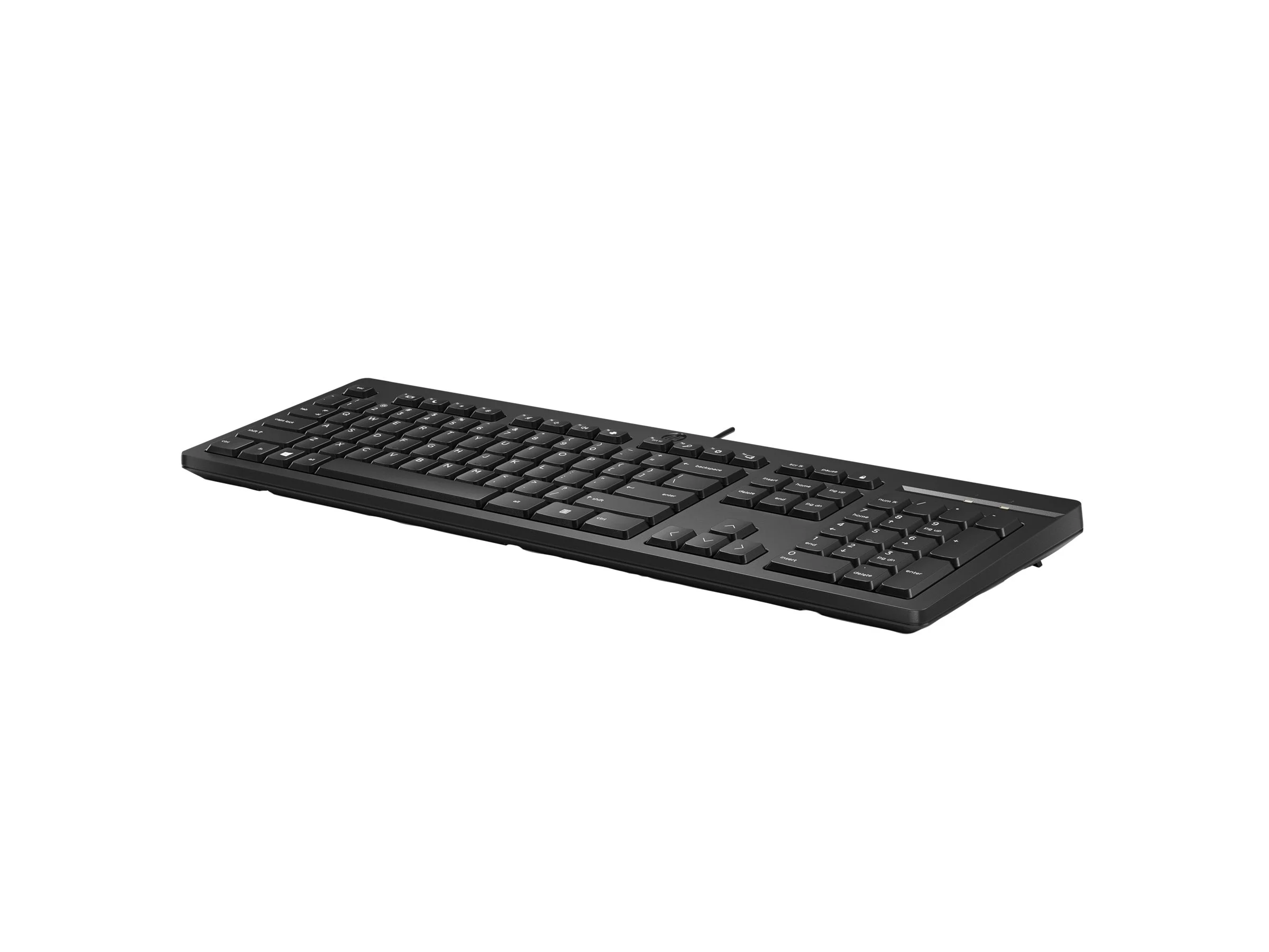HP 125 USB WD KBD Bulk 12 (DE)