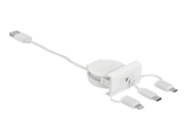 DELOCK Easy 45 Modul USB 2.0 3 in 1