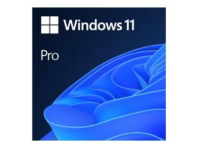 MS 1x Win 11 Pro GGK 64Bit DVD OEM (EN)
