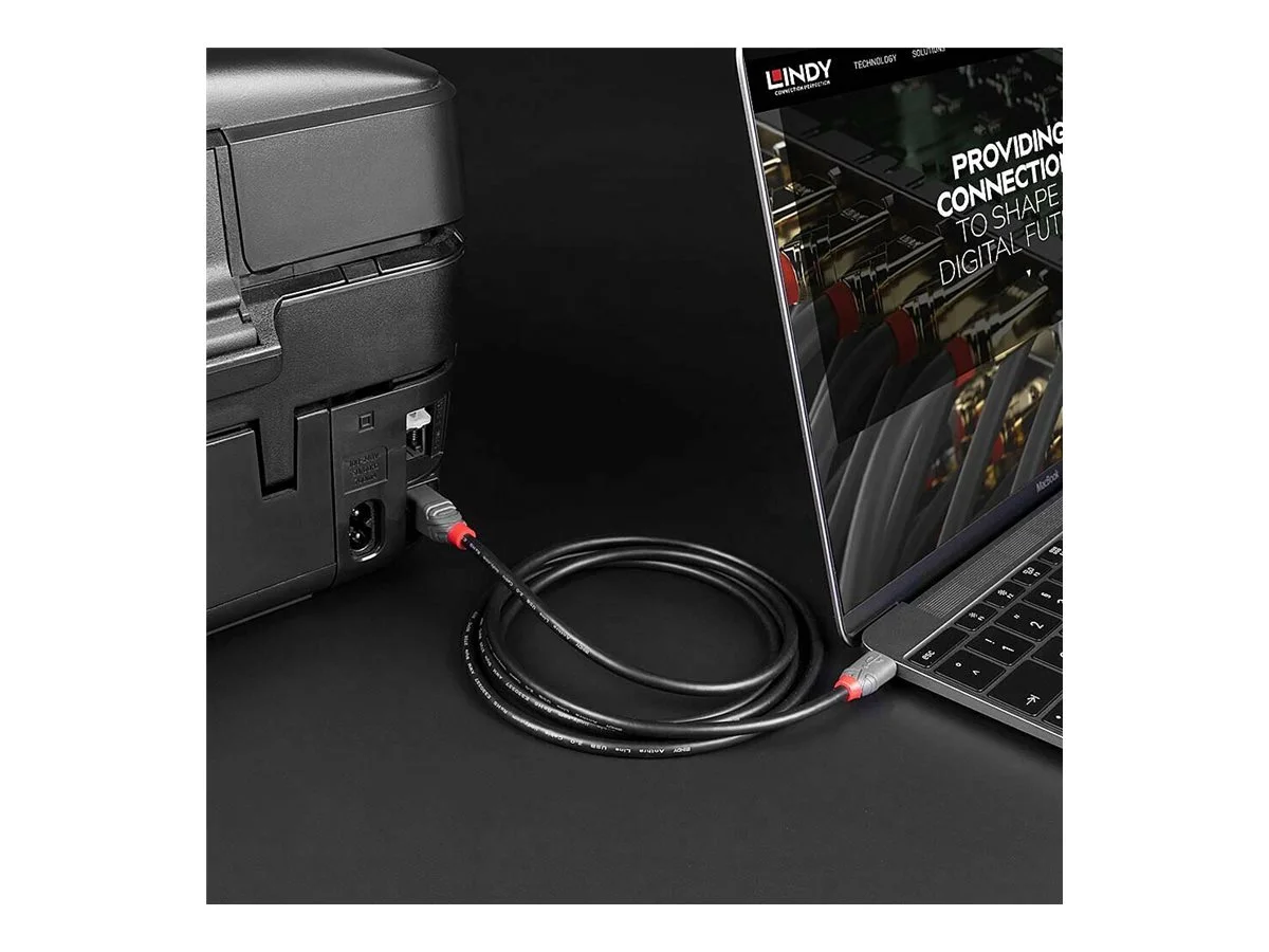 LINDY 2m USB 2.0 Type C an B Kabel Anthr