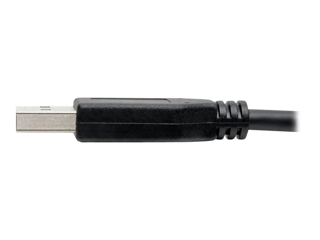 EATON TRIPPLITE USB-C to USB-A Cable M/M