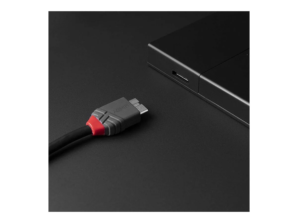 LINDY 3m USB 3.2 Typ C an Micro-B Kabel