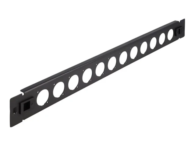DELOCK 48,26cm D-Typ Patchpanel 12 Port