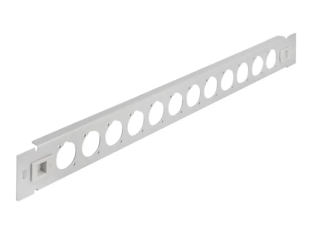 DELOCK 48,26cm D-Typ Patchpanel 12P grau