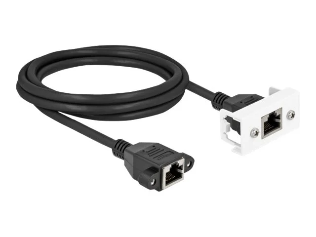 DELOCK Easy45 Modul S/FTP RJ45 Cat.6A 2m